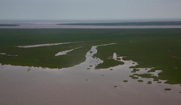 三角洲最新版测试服(给我三角洲最新测试服的下载链接) 三角洲最新版测试服(给我三角洲最新测试服的下载链接)